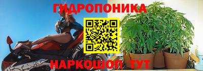 ешки Тулун