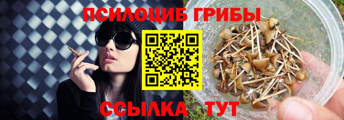 Галлюциногенные грибы ЛСД Бийск