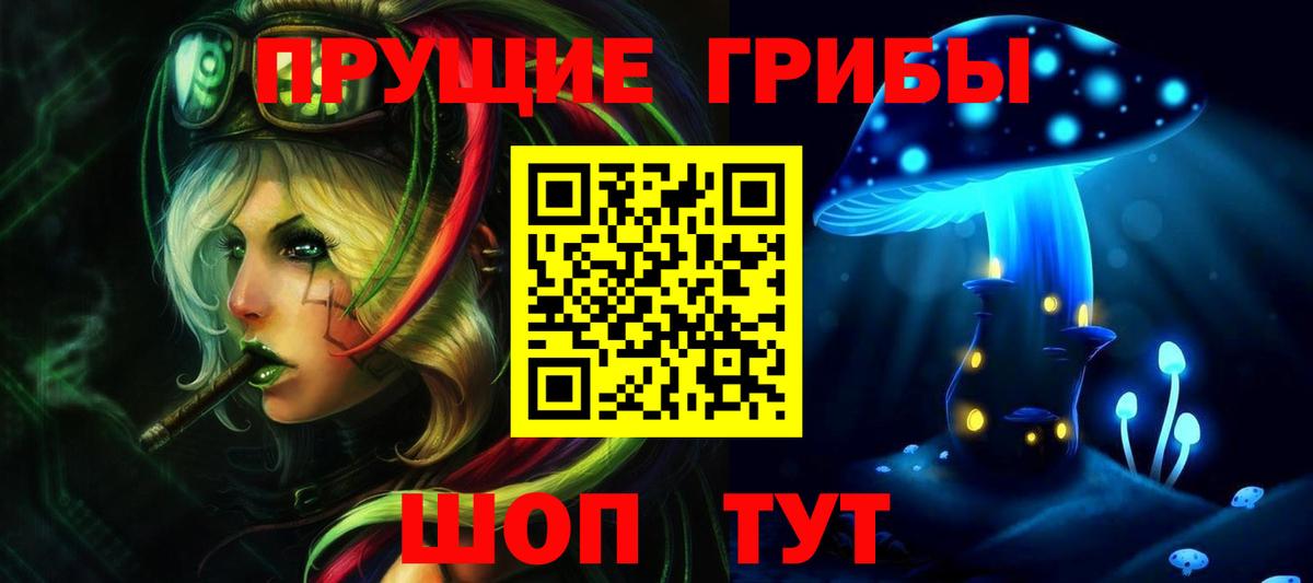 Псилоцибиновые грибы прущие грибы  Вход с VPN  где купить наркоту  Галлюциногенные грибы Psilocybine cubensis  Бийск 